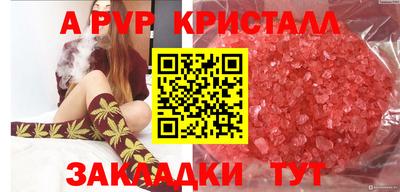шишки Гусев