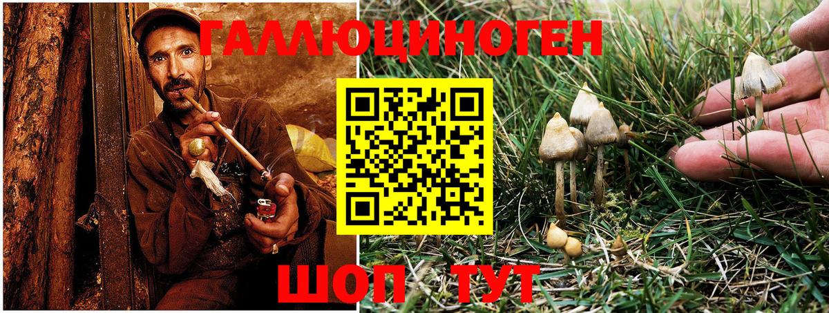 Псилоцибиновые грибы Cubensis  Галлюциногенные грибы мухоморы  Минеральные Воды  Вход с VPN 
